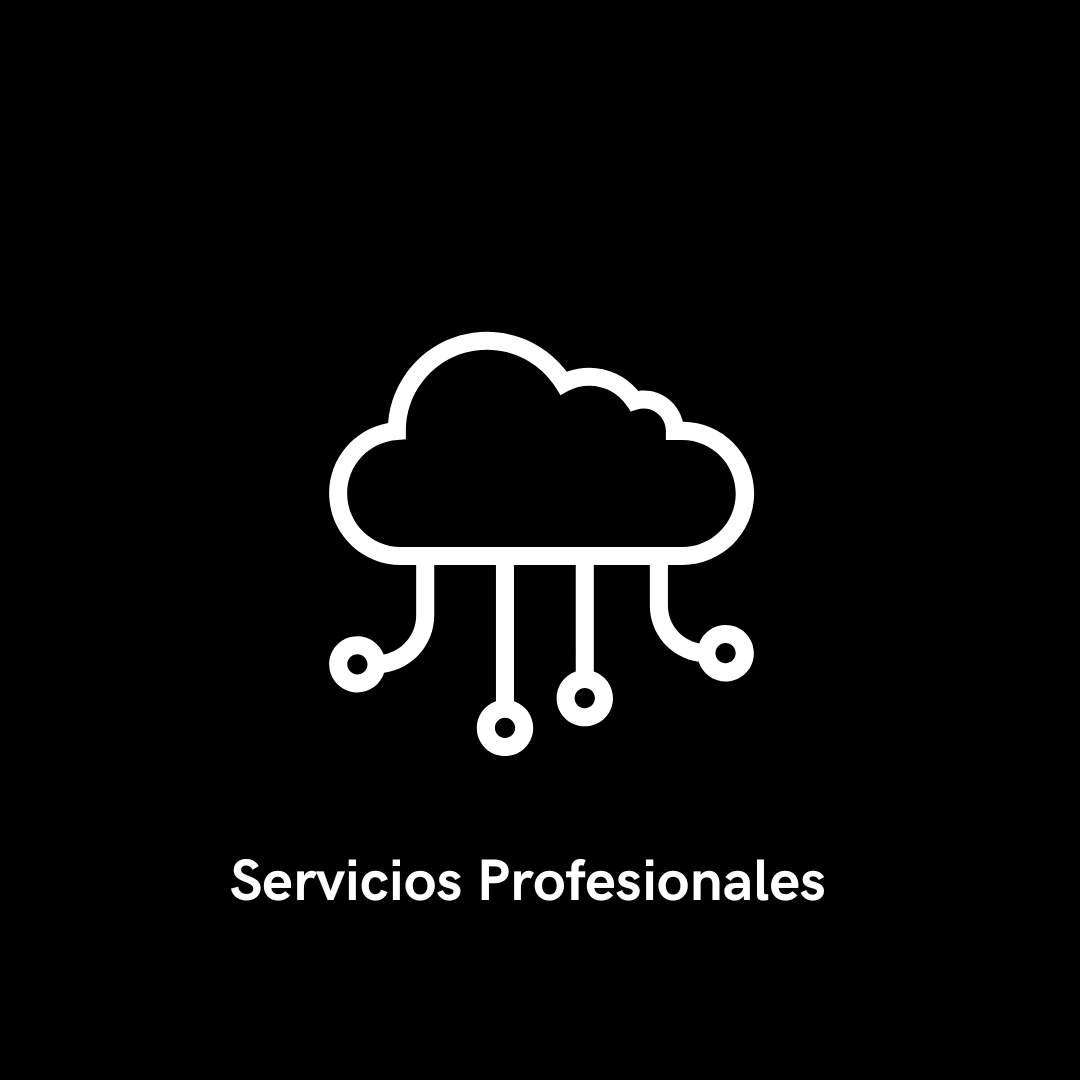 Servicios Profesionales